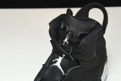 Silver” “Metallic DX2836-001 Jordan Air 6 0723